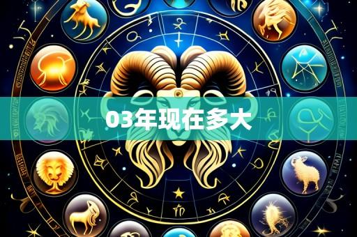 03年现在多大