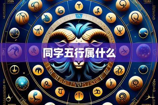 同字五行属什么