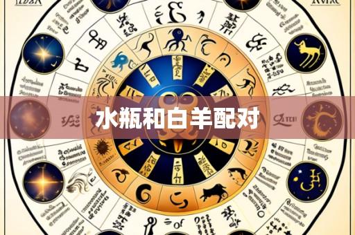 水瓶和白羊配对