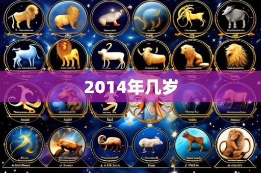 2014年几岁