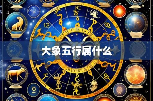 大象五行属什么