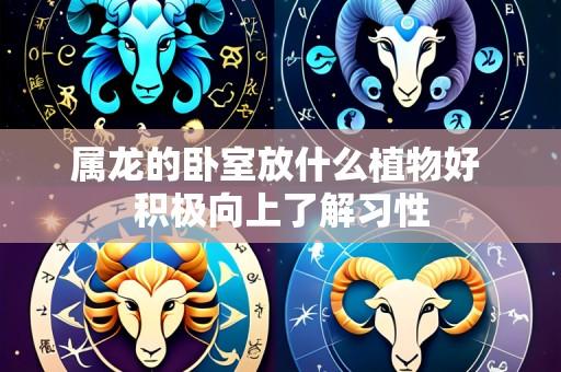 属龙的卧室放什么植物好 积极向上了解习性