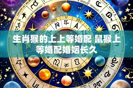 生肖猴的上上等婚配 鼠猴上等婚配婚姻长久