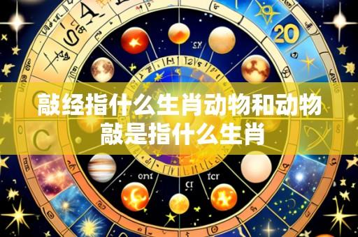 敲经指什么生肖动物和动物 敲是指什么生肖