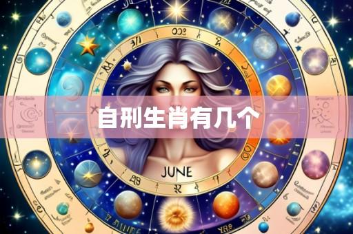 自刑生肖有几个