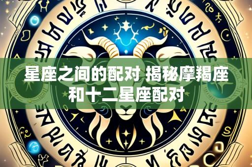 星座之间的配对 揭秘摩羯座和十二星座配对