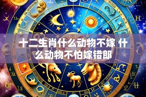 十二生肖什么动物不嫁 什么动物不怕嫁错郎