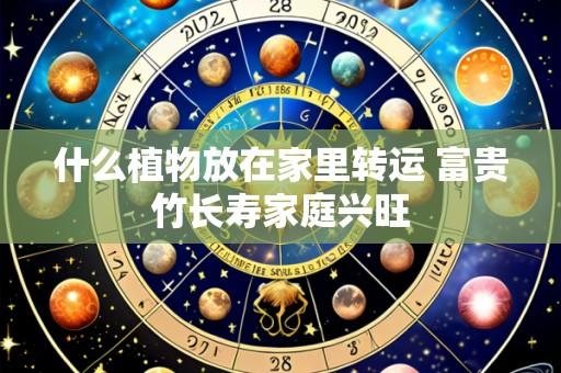 什么植物放在家里转运 富贵竹长寿家庭兴旺