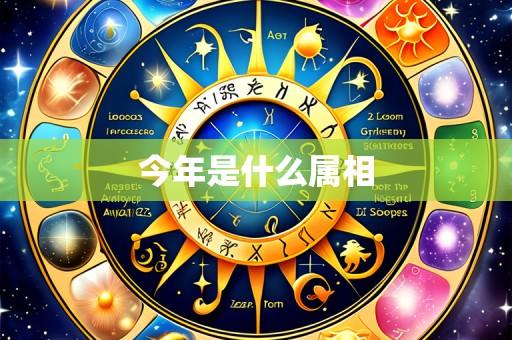 今年是什么属相