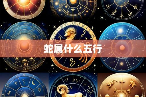 蛇属什么五行