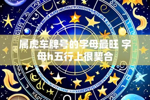 属虎车牌号的字母最旺 字母h五行上很契合
