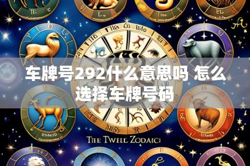 车牌号292什么意思吗 怎么选择车牌号码