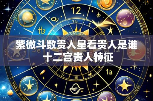 紫微斗数贵人星看贵人是谁 十二宫贵人特征