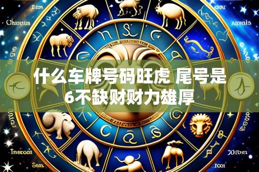 什么车牌号码旺虎 尾号是6不缺财财力雄厚