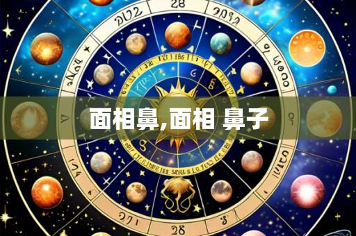 面相鼻,面相 鼻子