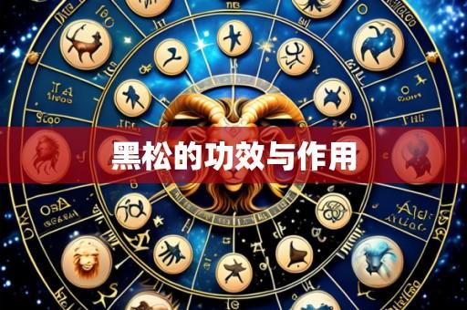 黑松的功效与作用