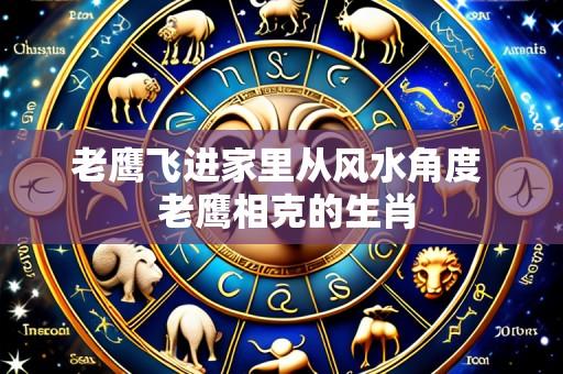 老鹰飞进家里从风水角度 老鹰相克的生肖