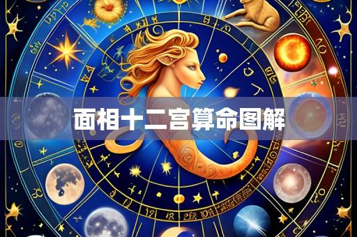 面相十二宫算命图解