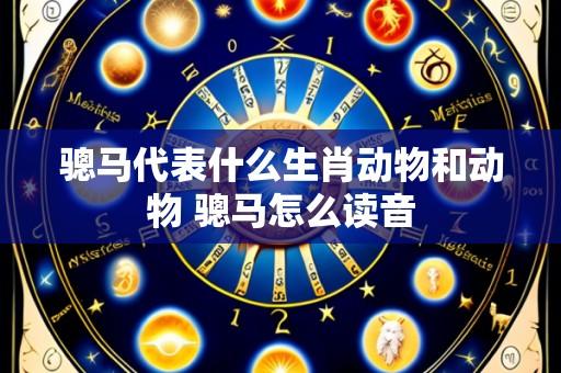 骢马代表什么生肖动物和动物 骢马怎么读音