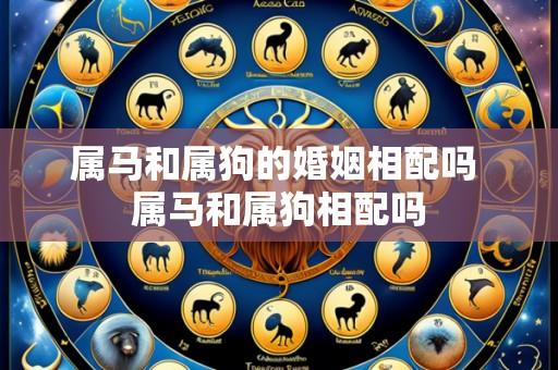属马和属狗的婚姻相配吗 属马和属狗相配吗