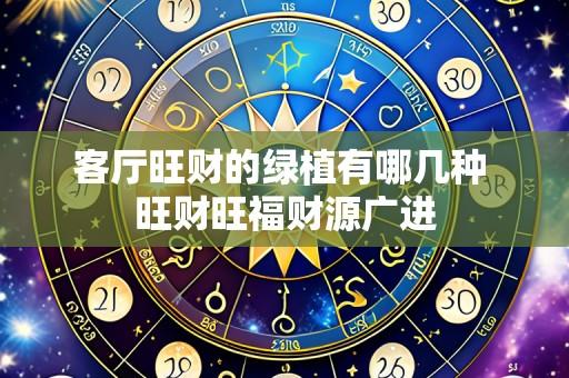 客厅旺财的绿植有哪几种 旺财旺福财源广进