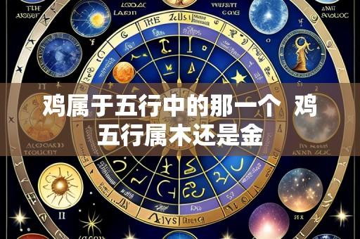 鸡属于五行中的那一个 鸡五行属木还是金