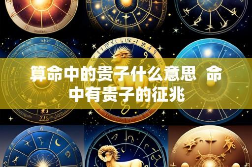 算命中的贵子什么意思 命中有贵子的征兆