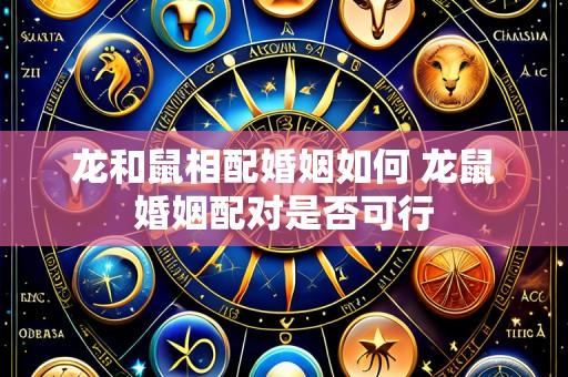 龙和鼠相配婚姻如何 龙鼠婚姻配对是否可行