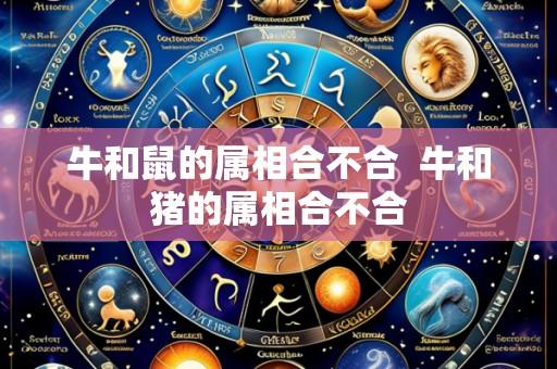 牛和鼠的属相合不合 牛和猪的属相合不合
