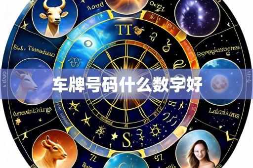 车牌号码什么数字好