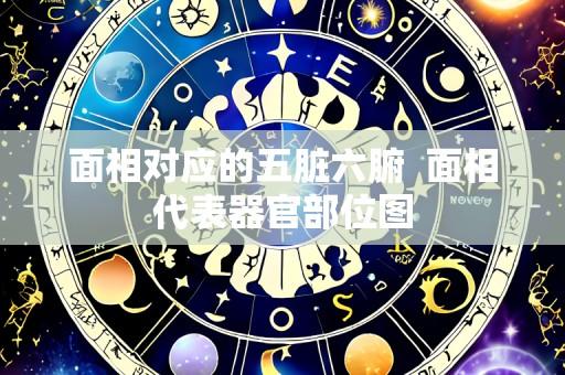 面相对应的五脏六腑  面相代表器官部位图