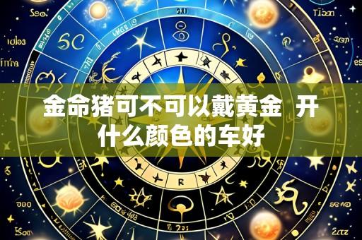 金命猪可不可以戴黄金  开什么颜色的车好