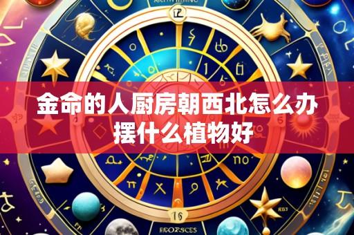 金命的人厨房朝西北怎么办 摆什么植物好