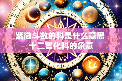 紫微斗数的科是什么意思 十二宫化科的象意