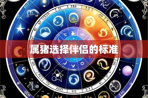 属猪选择伴侣的标准