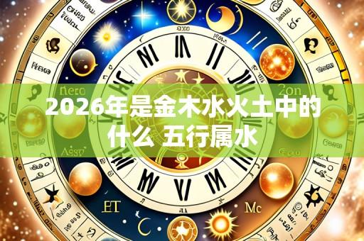 2026年是金木水火土中的什么 五行属水