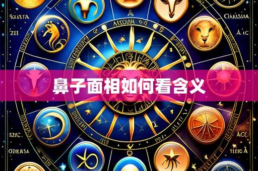 鼻子面相如何看含义