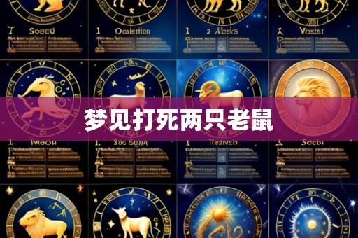 梦见打死两只老鼠