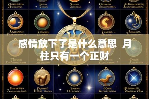 感情放下了是什么意思  月柱只有一个正财