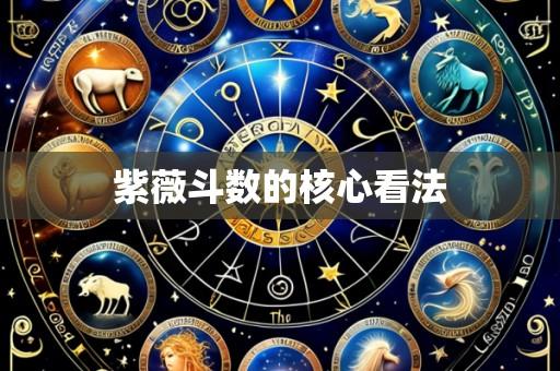 紫薇斗数的核心看法