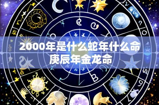 2000年是什么蛇年什么命 庚辰年金龙命
