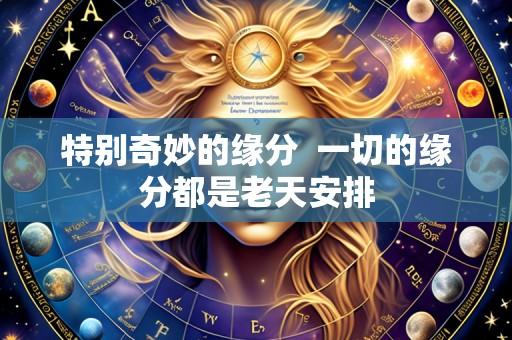 特别奇妙的缘分 一切的缘分都是老天安排