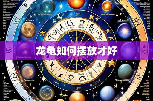龙龟如何摆放才好