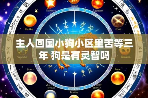 主人回国小狗小区里苦等三年 狗是有灵智吗