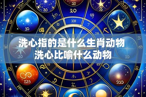 洗心指的是什么生肖动物 洗心比喻什么动物