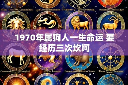 1970年属狗人一生命运 要经历三次坎坷