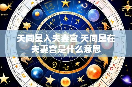 天同星入夫妻宫 天同星在夫妻宫是什么意思