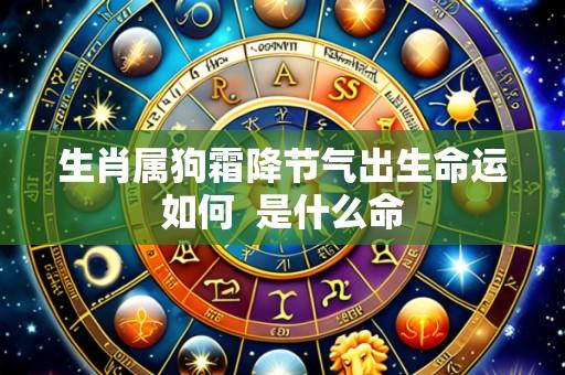 生肖属狗霜降节气出生命运如何 是什么命