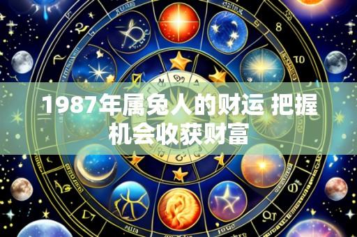 1987年属兔人的财运 把握机会收获财富
