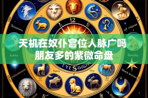 天机在奴仆宫位人脉广吗 朋友多的紫微命盘